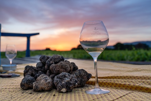 photographie représentant une table posée en pleine nature, avec dessus une nappe, des truffes et un verre de vin, le tout dans la lumière du coucher du soleil.